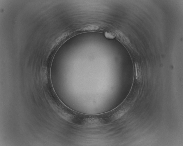 X0000073870300200608171014