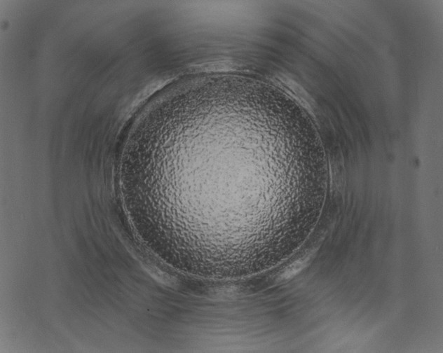 X0000073870301200608171014