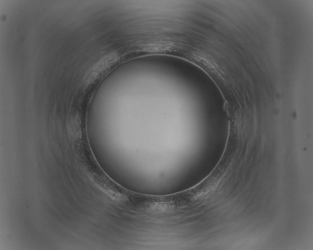 X0000073870303200608171014