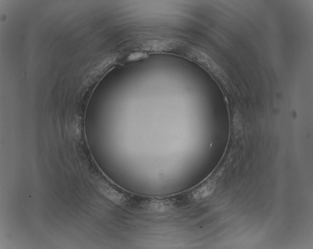 X0000073870305200608171014