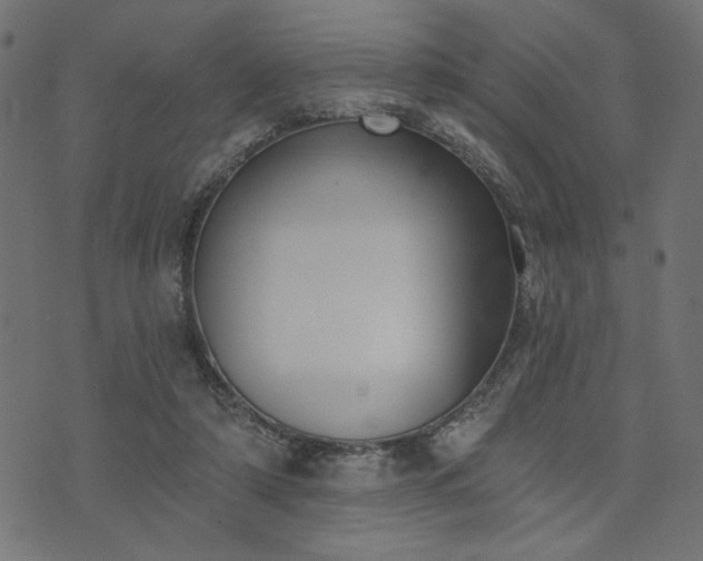 X0000073870306200608171014