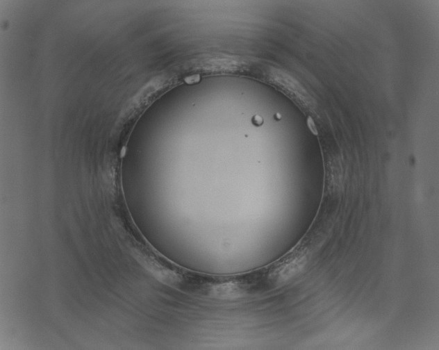 X0000073870309200608171014