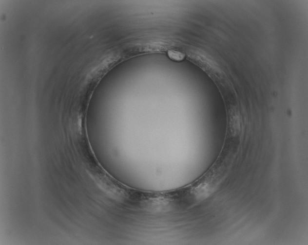 X0000073870310200608171014