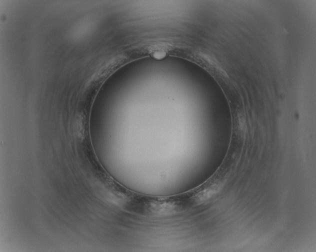 X0000073870311200608171014