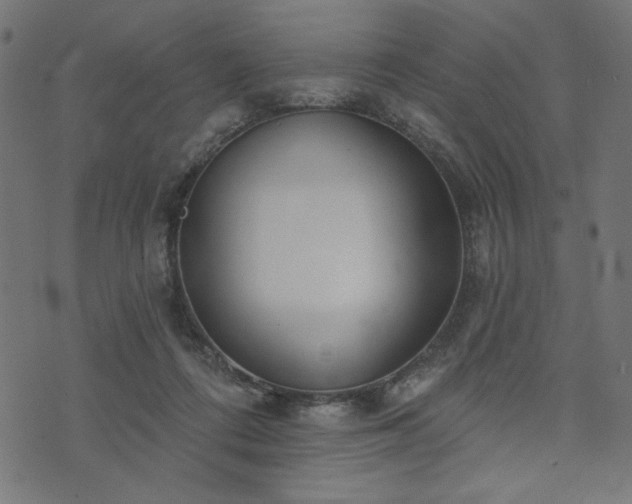 X0000073870312200608171014