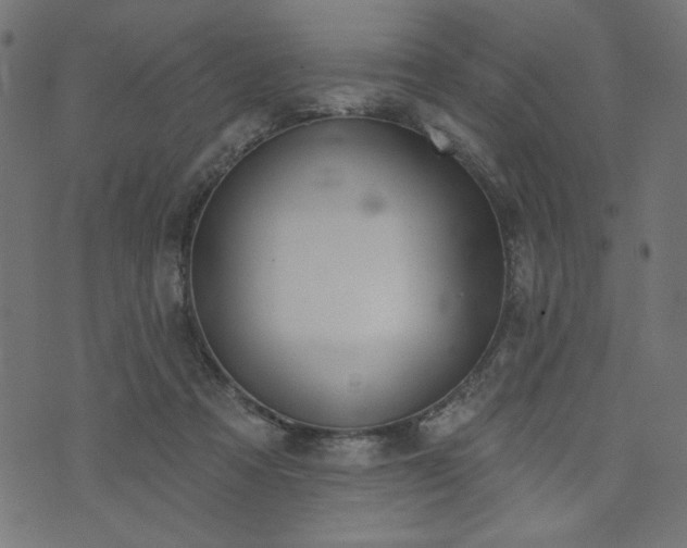 X0000073870313200608171014