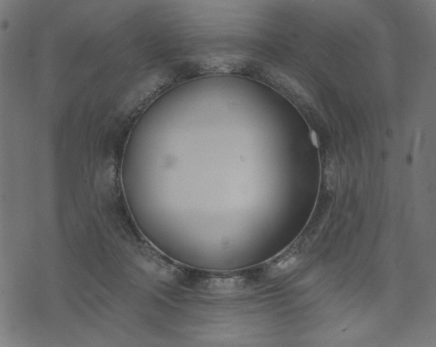 X0000073870314200608171014