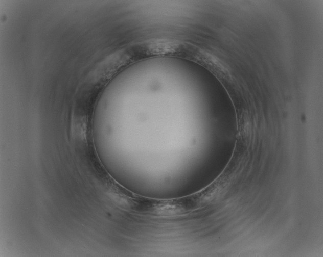 X0000073870315200608171014