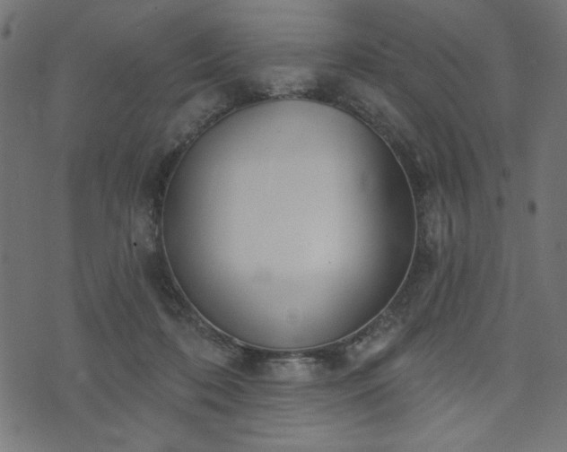 X0000073870316200608171014