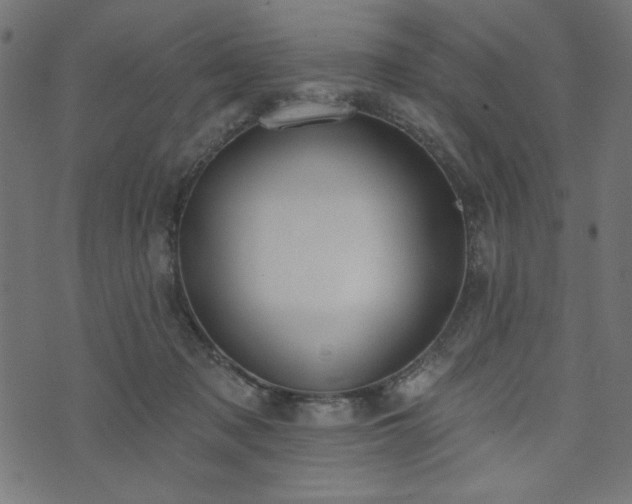 X0000073870317200608171014