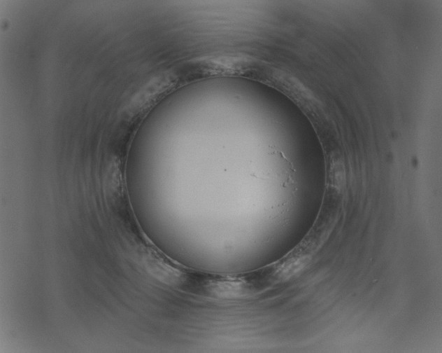 X0000073870318200608171014