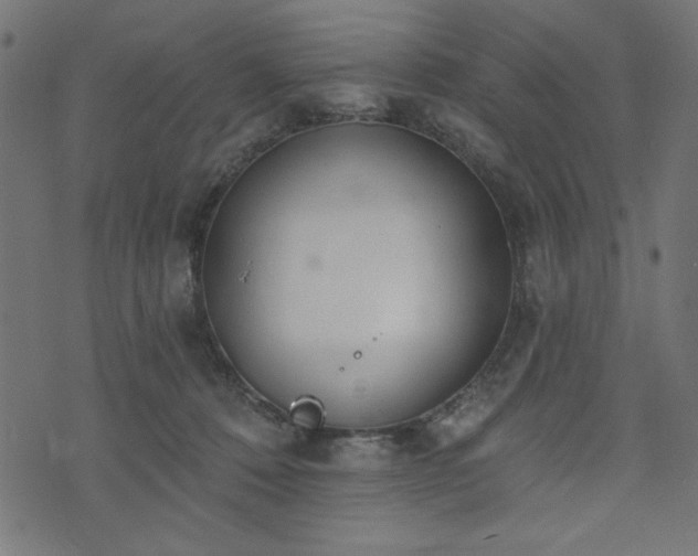 X0000073870320200608171014