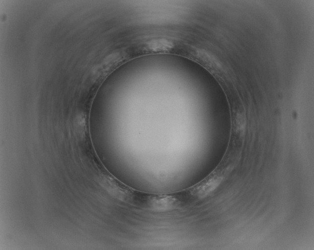 X0000073870321200608171014