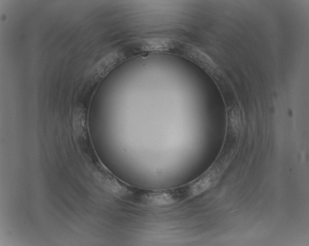 X0000073870322200608171014