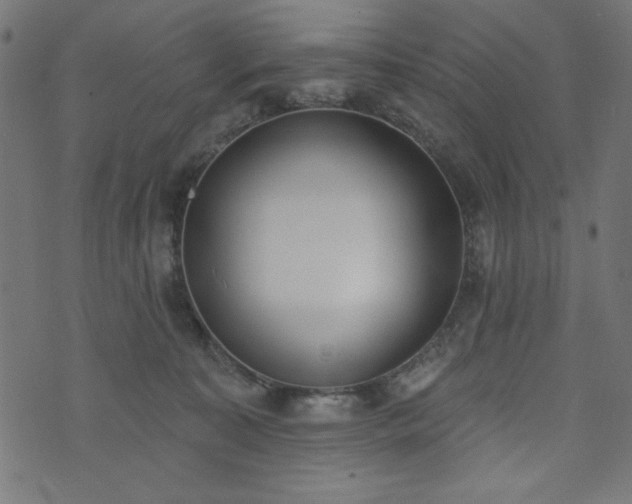 X0000073870323200608171014