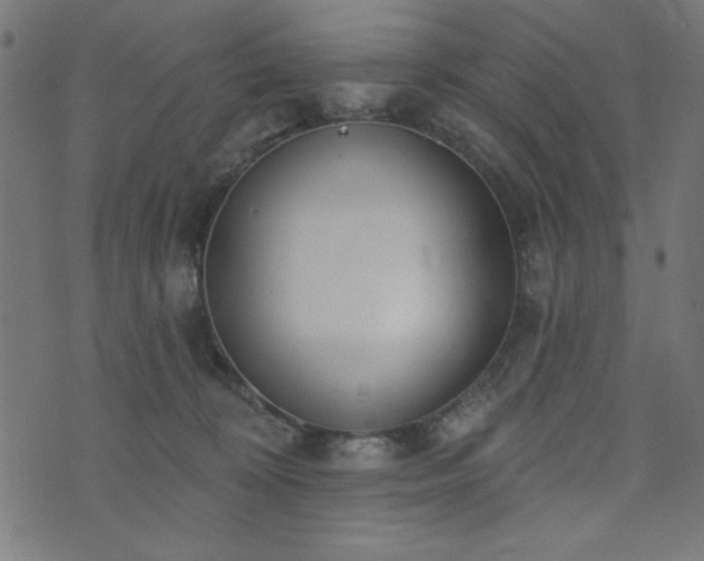 X0000073870324200608171014