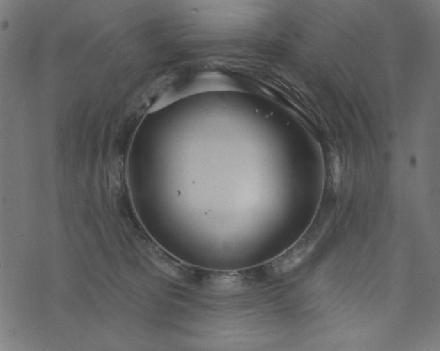 X0000073870325200608171014