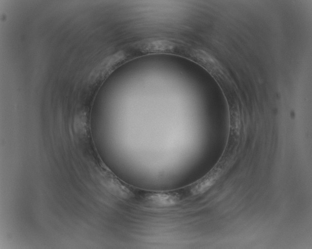 X0000073870326200608171014