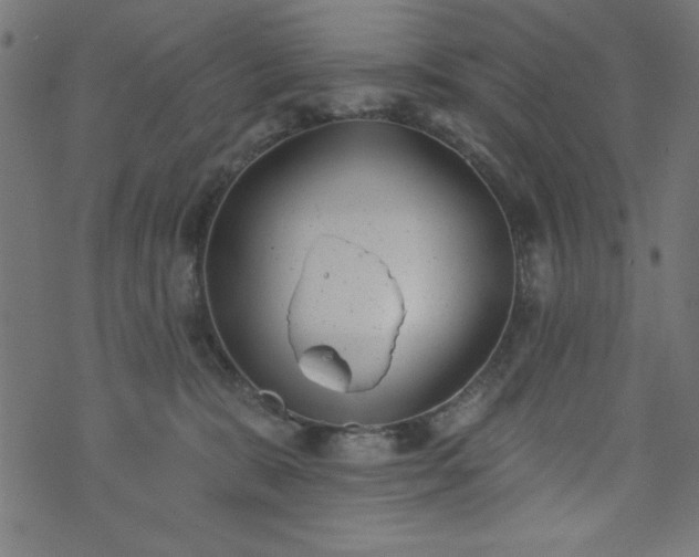 X0000073870327200608171014