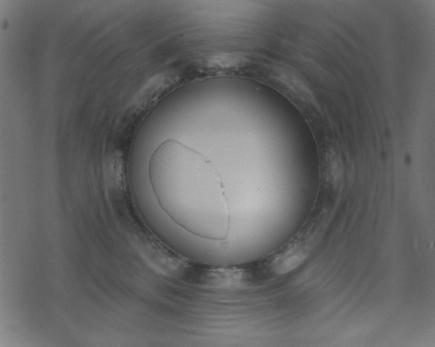 X0000073870328200608171014