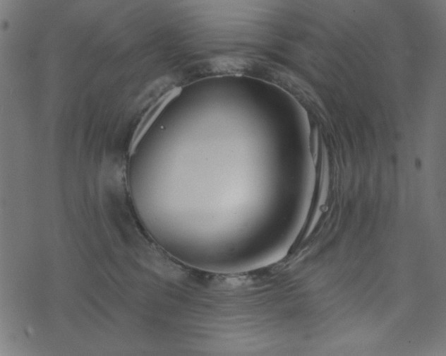 X0000073870329200608171014