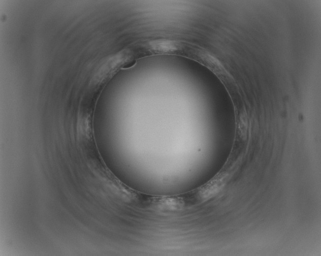 X0000073870330200608171014