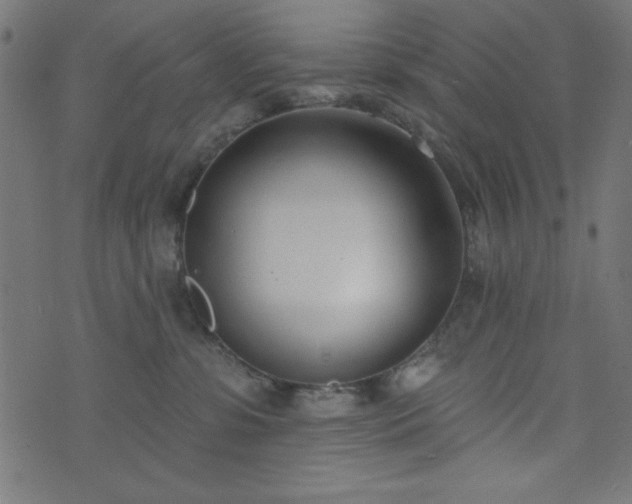 X0000073870331200608171014