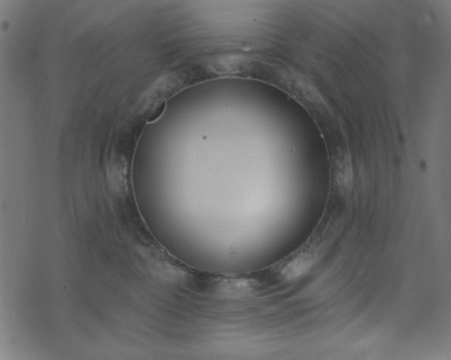 X0000073870332200608171014