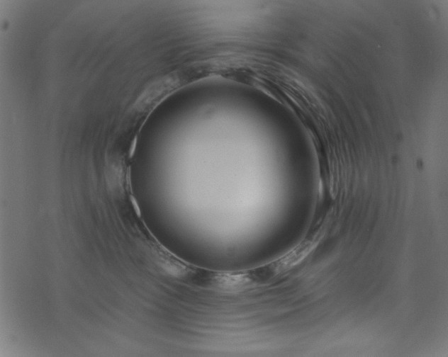 X0000073870333200608171014