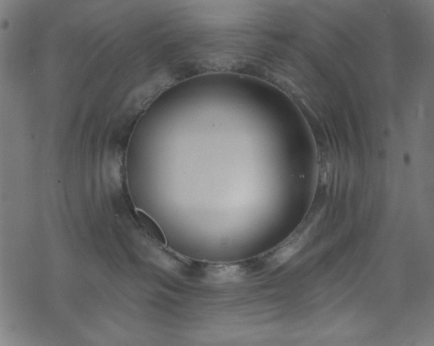 X0000073870334200608171014