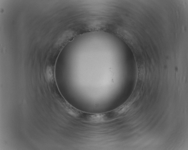 X0000073870335200608171014