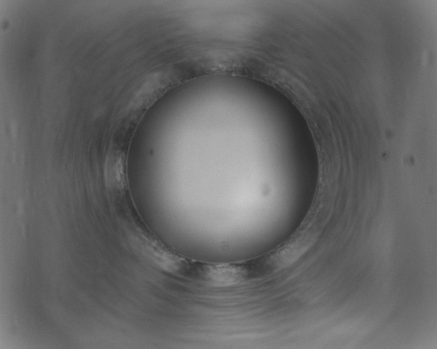 X0000073870336200608171014