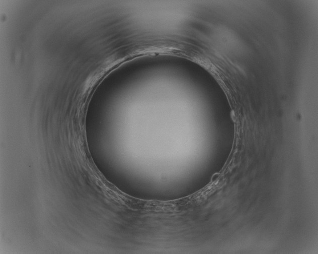 X0000073870337200608171013