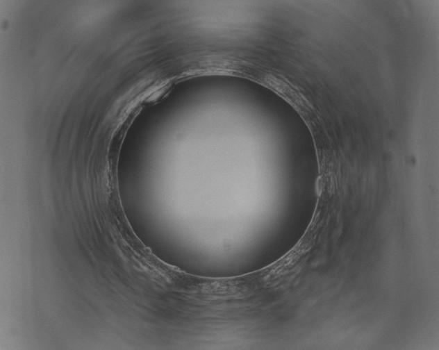 X0000073870338200608171013