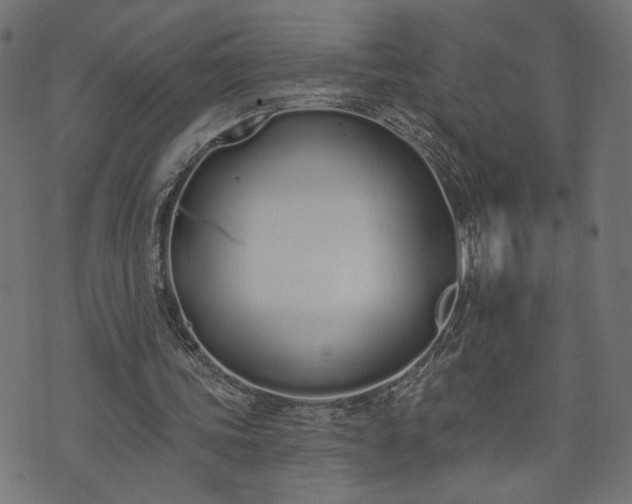 X0000073870339200608171013