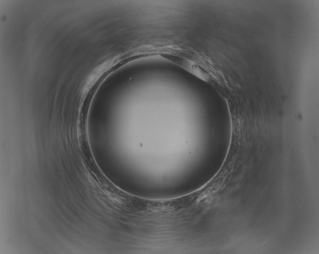 X0000073870340200608171013