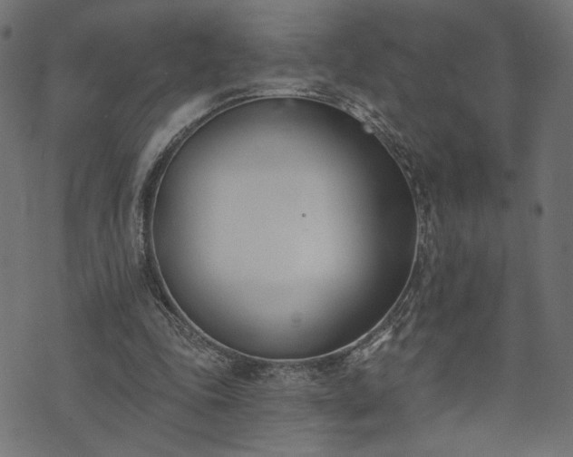 X0000073870343200608171013