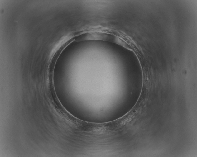 X0000073870344200608171013