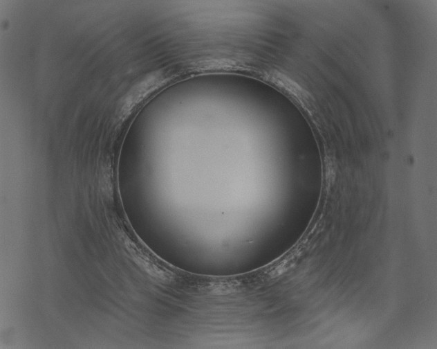 X0000073870345200608171013