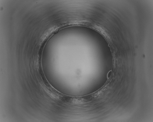 X0000073870346200608171013