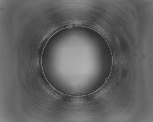 X0000073870347200608171013