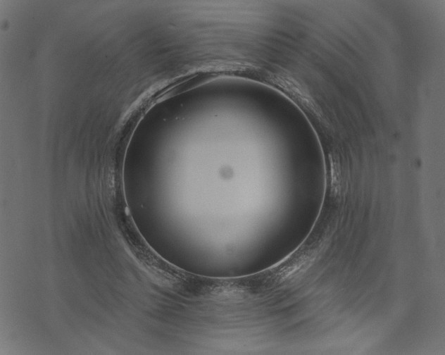 X0000073870348200608171013