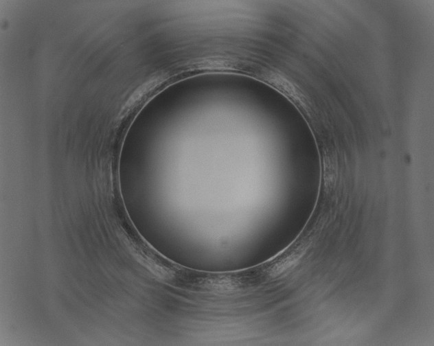 X0000073870349200608171013