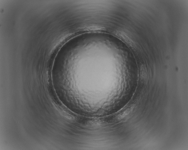 X0000073870351200608171013