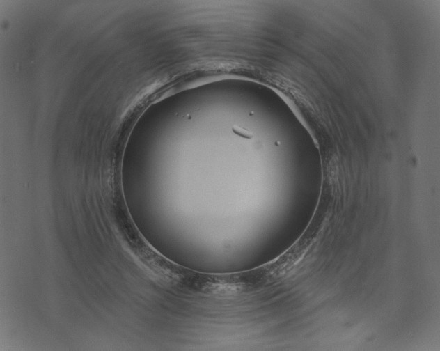 X0000073870352200608171013