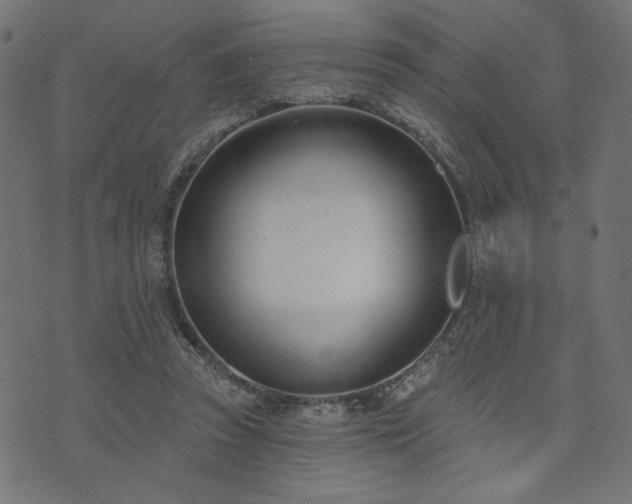 X0000073870353200608171013