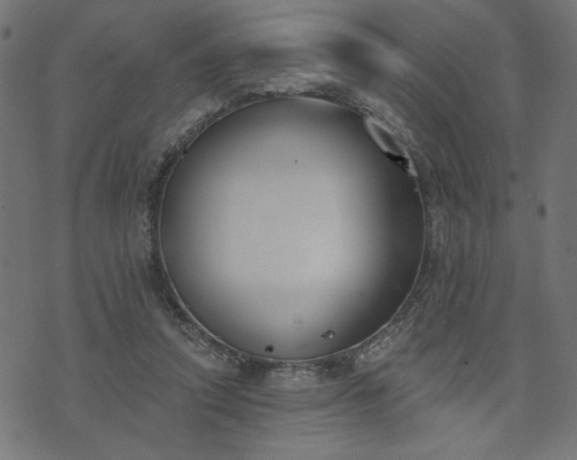 X0000073870354200608171013