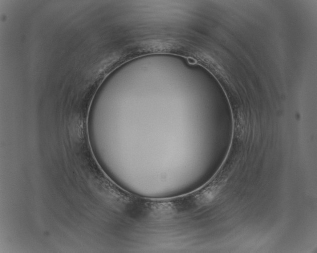 X0000073870355200608171013