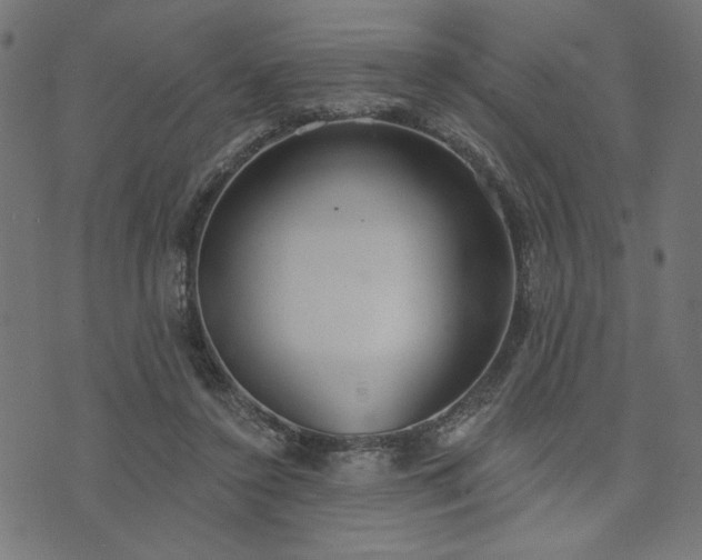 X0000073870356200608171013