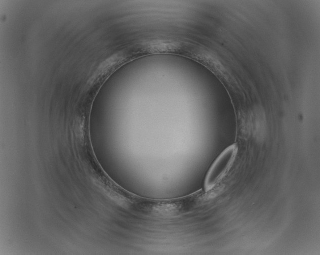 X0000073870357200608171013